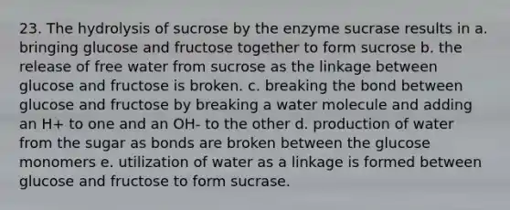 23. The hydrolysis of sucrose by the enzyme sucrase results in a. bringing glucose and fructose together to form sucrose b. the release of free water from sucrose as the linkage between glucose and fructose is broken. c. breaking the bond between glucose and fructose by breaking a water molecule and adding an H+ to one and an OH- to the other d. production of water from the sugar as bonds are broken between the glucose monomers e. utilization of water as a linkage is formed between glucose and fructose to form sucrase.