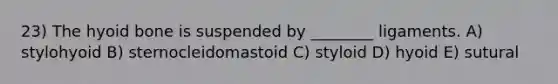 23) The hyoid bone is suspended by ________ ligaments. A) stylohyoid B) sternocleidomastoid C) styloid D) hyoid E) sutural