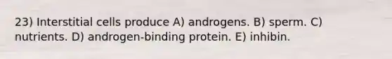 23) Interstitial cells produce A) androgens. B) sperm. C) nutrients. D) androgen-binding protein. E) inhibin.