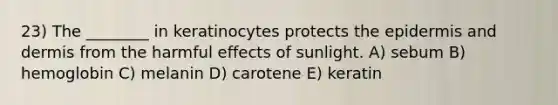 23) The ________ in keratinocytes protects the epidermis and dermis from the harmful effects of sunlight. A) sebum B) hemoglobin C) melanin D) carotene E) keratin