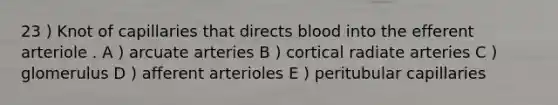 23 ) Knot of capillaries that directs blood into the efferent arteriole . A ) arcuate arteries B ) cortical radiate arteries C ) glomerulus D ) afferent arterioles E ) peritubular capillaries