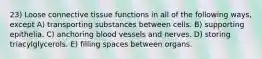 23) Loose connective tissue functions in all of the following ways, except A) transporting substances between cells. B) supporting epithelia. C) anchoring blood vessels and nerves. D) storing triacylglycerols. E) filling spaces between organs.