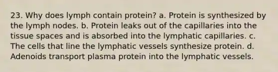 23. Why does lymph contain protein? a. Protein is synthesized by the lymph nodes. b. Protein leaks out of the capillaries into the tissue spaces and is absorbed into the lymphatic capillaries. c. The cells that line the lymphatic vessels synthesize protein. d. Adenoids transport plasma protein into the lymphatic vessels.