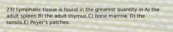 23) Lymphatic tissue is found in the greatest quantity in A) the adult spleen.B) the adult thymus.C) bone marrow. D) the tonsils.E) Peyer's patches.