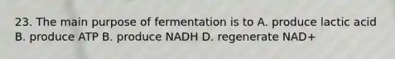 23. The main purpose of fermentation is to A. produce lactic acid B. produce ATP B. produce NADH D. regenerate NAD+