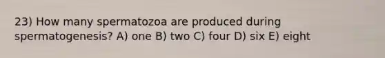 23) How many spermatozoa are produced during spermatogenesis? A) one B) two C) four D) six E) eight