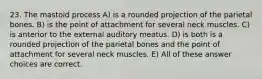 23. The mastoid process A) is a rounded projection of the parietal bones. B) is the point of attachment for several neck muscles. C) is anterior to the external auditory meatus. D) is both is a rounded projection of the parietal bones and the point of attachment for several neck muscles. E) All of these answer choices are correct.