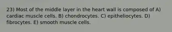 23) Most of the middle layer in the heart wall is composed of A) cardiac muscle cells. B) chondrocytes. C) epitheliocytes. D) fibrocytes. E) smooth muscle cells.