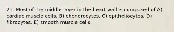 23. Most of the middle layer in the heart wall is composed of A) cardiac muscle cells. B) chondrocytes. C) epitheliocytes. D) fibrocytes. E) smooth muscle cells.