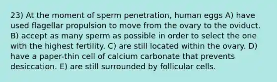 23) At the moment of sperm penetration, human eggs A) have used flagellar propulsion to move from the ovary to the oviduct. B) accept as many sperm as possible in order to select the one with the highest fertility. C) are still located within the ovary. D) have a paper-thin cell of calcium carbonate that prevents desiccation. E) are still surrounded by follicular cells.