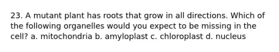 23. A mutant plant has roots that grow in all directions. Which of the following organelles would you expect to be missing in the cell? a. mitochondria b. amyloplast c. chloroplast d. nucleus