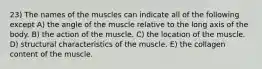 23) The names of the muscles can indicate all of the following except A) the angle of the muscle relative to the long axis of the body. B) the action of the muscle. C) the location of the muscle. D) structural characteristics of the muscle. E) the collagen content of the muscle.