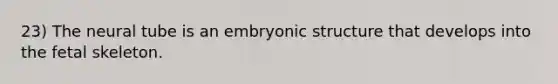 23) The neural tube is an embryonic structure that develops into the fetal skeleton.