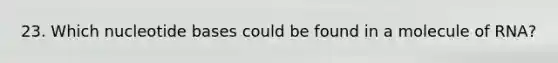 23. Which nucleotide bases could be found in a molecule of RNA?