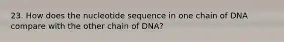 23. How does the nucleotide sequence in one chain of DNA compare with the other chain of DNA?