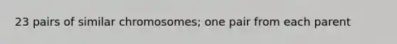 23 pairs of similar chromosomes; one pair from each parent
