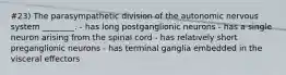 #23) The parasympathetic division of the autonomic nervous system ________. - has long postganglionic neurons - has a single neuron arising from the spinal cord - has relatively short preganglionic neurons - has terminal ganglia embedded in the visceral effectors