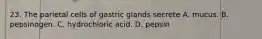 23. The parietal cells of gastric glands secrete A. mucus. B. pepsinogen. C. hydrochloric acid. D. pepsin