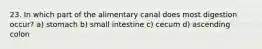 23. In which part of the alimentary canal does most digestion occur? a) stomach b) small intestine c) cecum d) ascending colon