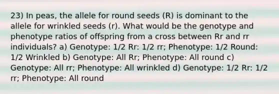 23) In peas, the allele for round seeds (R) is dominant to the allele for wrinkled seeds (r). What would be the genotype and phenotype ratios of offspring from a cross between Rr and rr individuals? a) Genotype: 1/2 Rr: 1/2 rr; Phenotype: 1/2 Round: 1/2 Wrinkled b) Genotype: All Rr; Phenotype: All round c) Genotype: All rr; Phenotype: All wrinkled d) Genotype: 1/2 Rr: 1/2 rr; Phenotype: All round