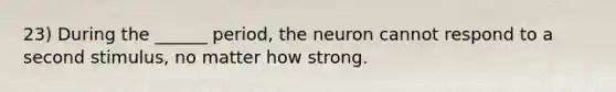 23) During the ______ period, the neuron cannot respond to a second stimulus, no matter how strong.