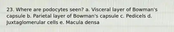 23. Where are podocytes seen? a. Visceral layer of Bowman's capsule b. Parietal layer of Bowman's capsule c. Pedicels d. Juxtaglomerular cells e. Macula densa