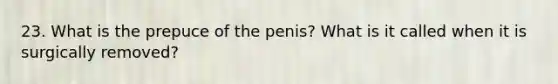 23. What is the prepuce of the penis? What is it called when it is surgically removed?