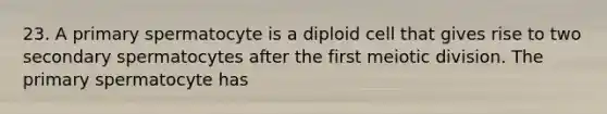 23. A primary spermatocyte is a diploid cell that gives rise to two secondary spermatocytes after the first meiotic division. The primary spermatocyte has