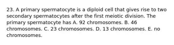 23. A primary spermatocyte is a diploid cell that gives rise to two secondary spermatocytes after the first meiotic division. The primary spermatocyte has A. 92 chromosomes. B. 46 chromosomes. C. 23 chromosomes. D. 13 chromosomes. E. no chromosomes.