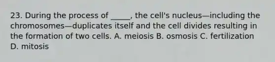 23. During the process of _____, the cell's nucleus—including the chromosomes—duplicates itself and the cell divides resulting in the formation of two cells. A. meiosis B. osmosis C. fertilization D. mitosis