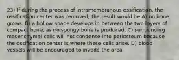 23) If during the process of intramembranous ossification, the ossification center was removed, the result would be A) no bone grows. B) a hollow space develops in between the two layers of compact bone, as no spongy bone is produced. C) surrounding mesenchymal cells will not condense into periosteum because the ossification center is where these cells arise. D) blood vessels will be encouraged to invade the area.