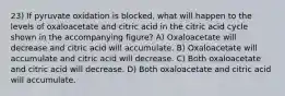 23) If pyruvate oxidation is blocked, what will happen to the levels of oxaloacetate and citric acid in the citric acid cycle shown in the accompanying figure? A) Oxaloacetate will decrease and citric acid will accumulate. B) Oxaloacetate will accumulate and citric acid will decrease. C) Both oxaloacetate and citric acid will decrease. D) Both oxaloacetate and citric acid will accumulate.