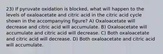 23) If <a href='https://www.questionai.com/knowledge/kmqf6pkmgc-pyruvate-oxidation' class='anchor-knowledge'>pyruvate oxidation</a> is blocked, what will happen to the levels of oxaloacetate and citric acid in the citric acid cycle shown in the accompanying figure? A) Oxaloacetate will decrease and citric acid will accumulate. B) Oxaloacetate will accumulate and citric acid will decrease. C) Both oxaloacetate and citric acid will decrease. D) Both oxaloacetate and citric acid will accumulate.