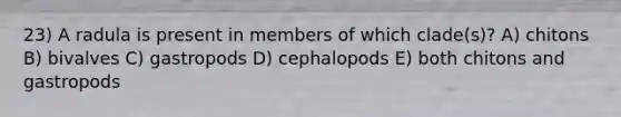 23) A radula is present in members of which clade(s)? A) chitons B) bivalves C) gastropods D) cephalopods E) both chitons and gastropods