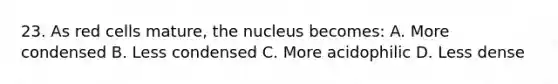 23. As red cells mature, the nucleus becomes: A. More condensed B. Less condensed C. More acidophilic D. Less dense