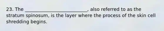 23. The ___________________________, also referred to as the stratum spinosum, is the layer where the process of the skin cell shredding begins.