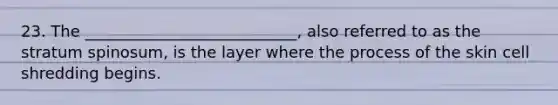 23. The ___________________________, also referred to as the stratum spinosum, is the layer where the process of the skin cell shredding begins.