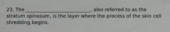 23. The ___________________________, also referred to as the stratum spinosum, is the layer where the process of the skin cell shredding begins.