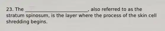 23. The ___________________________, also referred to as the stratum spinosum, is the layer where the process of the skin cell shredding begins.