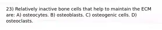 23) Relatively inactive bone cells that help to maintain the ECM are: A) osteocytes. B) osteoblasts. C) osteogenic cells. D) osteoclasts.