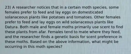 23) A researcher notices that in a certain moth species, some females prefer to feed and lay eggs on domesticated solanaceous plants like potatoes and tomatoes. Other females prefer to feed and lay eggs on wild solanaceous plants like Datura. Both male and female moths primarily use scent to find these plants from afar. Females tend to mate where they feed, and the researcher finds a genetic basis for scent preference in these moths. Based on the above information, what might be occurring in this moth species?