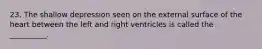 23. The shallow depression seen on the external surface of the heart between the left and right ventricles is called the __________.