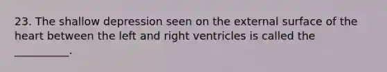 23. The shallow depression seen on the external surface of <a href='https://www.questionai.com/knowledge/kya8ocqc6o-the-heart' class='anchor-knowledge'>the heart</a> between the left and right ventricles is called the __________.