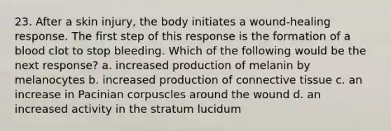 23. After a skin injury, the body initiates a wound-healing response. The first step of this response is the formation of a blood clot to stop bleeding. Which of the following would be the next response? a. increased production of melanin by melanocytes b. increased production of connective tissue c. an increase in Pacinian corpuscles around the wound d. an increased activity in the stratum lucidum