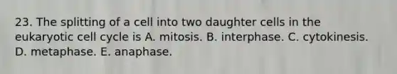 23. The splitting of a cell into two daughter cells in the eukaryotic cell cycle is A. mitosis. B. interphase. C. cytokinesis. D. metaphase. E. anaphase.