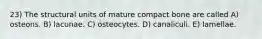 23) The structural units of mature compact bone are called A) osteons. B) lacunae. C) osteocytes. D) canaliculi. E) lamellae.