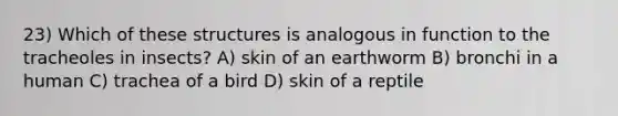 23) Which of these structures is analogous in function to the tracheoles in insects? A) skin of an earthworm B) bronchi in a human C) trachea of a bird D) skin of a reptile