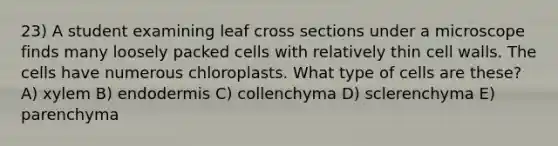 23) A student examining leaf cross sections under a microscope finds many loosely packed cells with relatively thin cell walls. The cells have numerous chloroplasts. What type of cells are these? A) xylem B) endodermis C) collenchyma D) sclerenchyma E) parenchyma