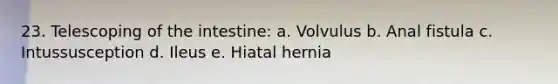 23. Telescoping of the intestine: a. Volvulus b. Anal fistula c. Intussusception d. Ileus e. Hiatal hernia