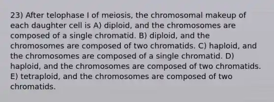 23) After telophase I of meiosis, the chromosomal makeup of each daughter cell is A) diploid, and the chromosomes are composed of a single chromatid. B) diploid, and the chromosomes are composed of two chromatids. C) haploid, and the chromosomes are composed of a single chromatid. D) haploid, and the chromosomes are composed of two chromatids. E) tetraploid, and the chromosomes are composed of two chromatids.